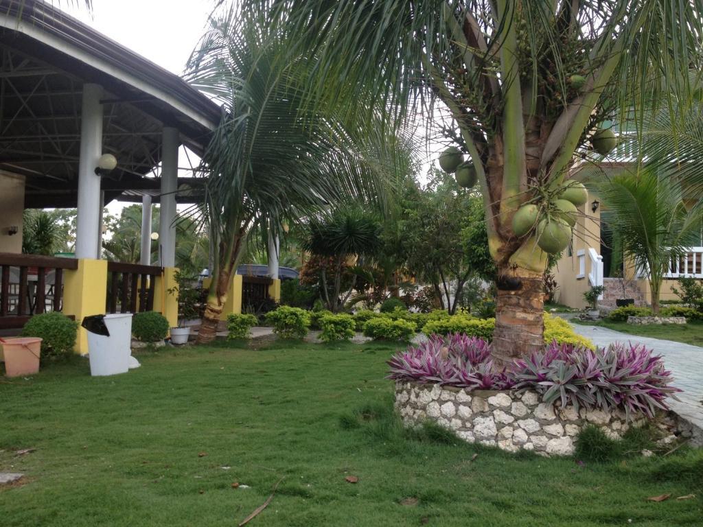 Moalboal Beach Resort Alcantara  Esterno foto